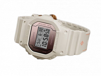 DW-5600PGW-7E